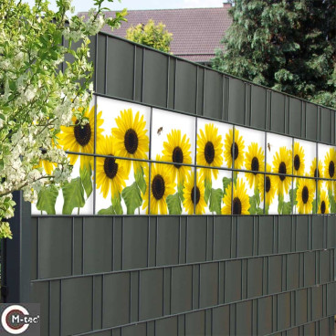 Naturmotiv Sonnenblumen für Sichtschutzzaun
