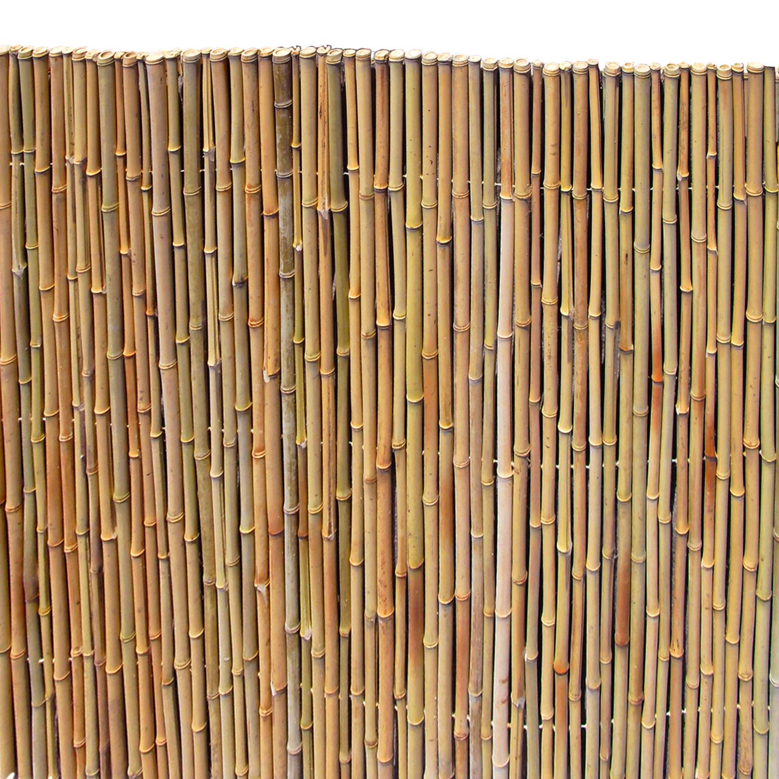 Bambusmatte Bahrain-1,50m x 2,50m Ø 24-26mm