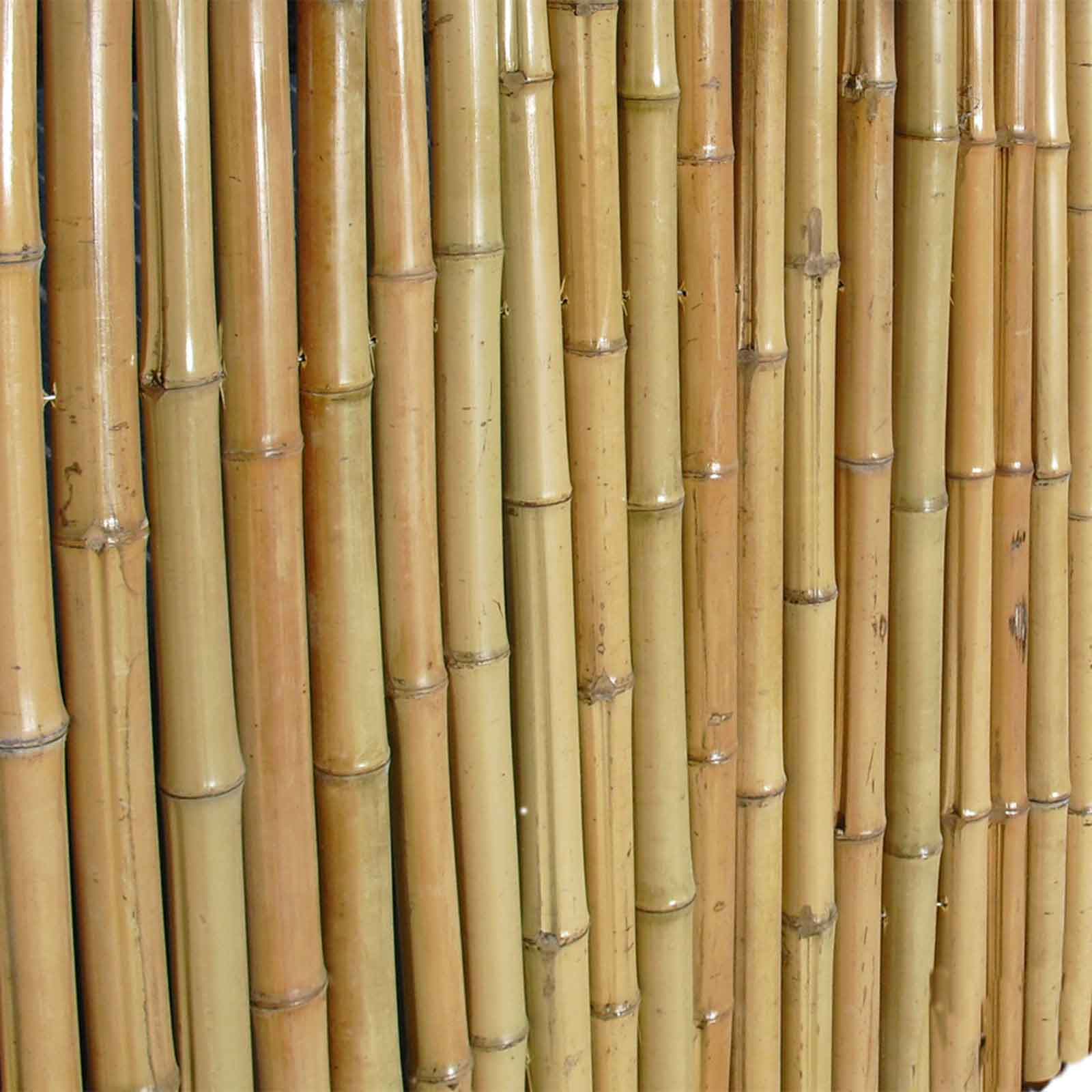 Bambusmatte Bahrain-1,50m x 2,50m Ø 24-26mm