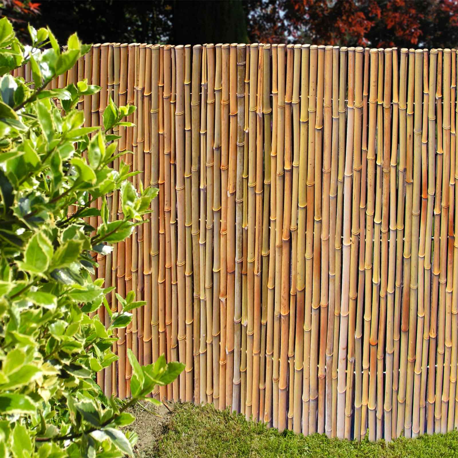 Bambusmatte Bahrain-1,50m x 2,50m Ø 24-26mm