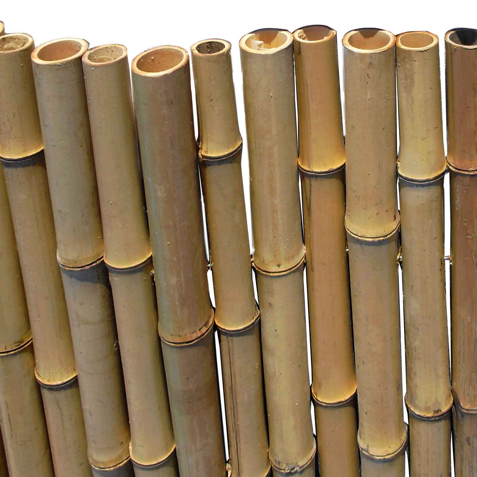 Bambusmatte Bahrain-1,50m x 2,50m Ø 24-26mm
