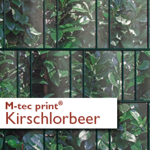 M-tec print PVC Zaunstreifen Kirschlorbeer bedruckt